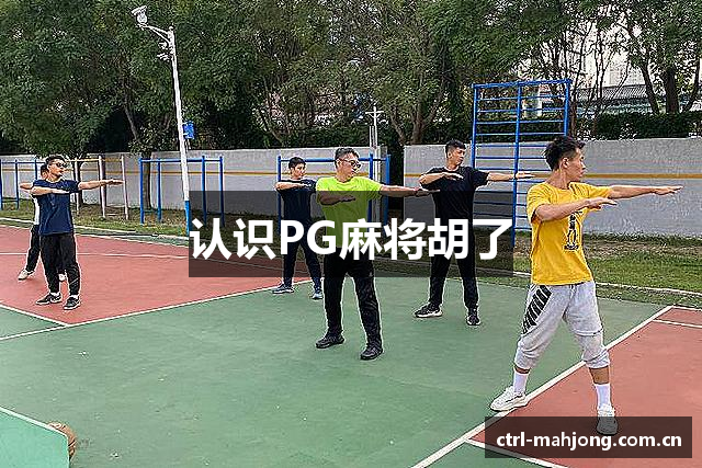 认识PG麻将胡了
